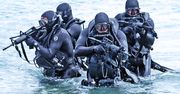 Navy SEALs - elita wśród komandosów