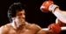 Filmowe pamiątki Sylvestra Stallone'a sprzedane za ponad 3 miliony dolarów [WIDEO]