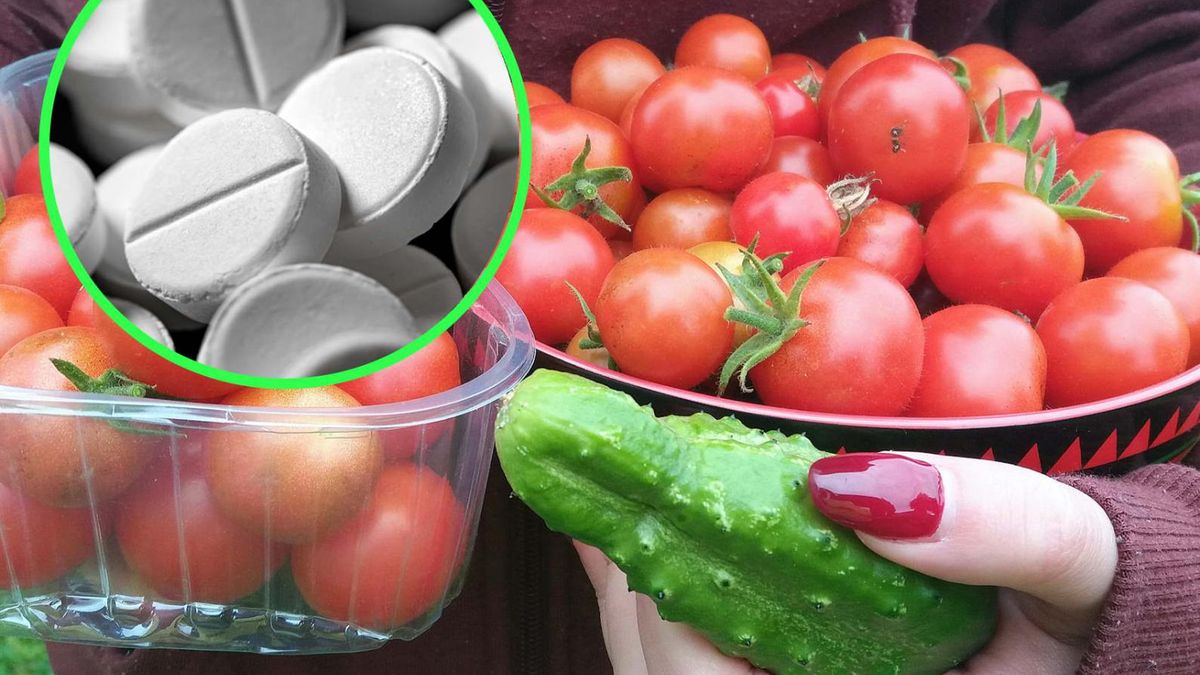 Aspiryna może ochronić uprawy przed chorobami