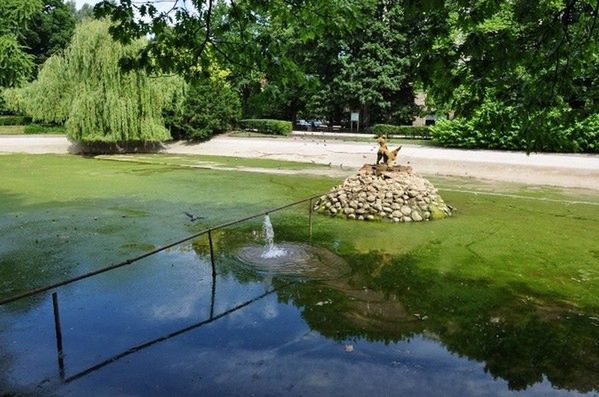 Wandale spuścili wodę ze stawu w Ogrodzie Saskim