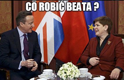 Memy po referendum w Wielkiej Brytanii