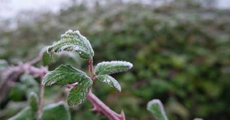 "Mróz po zachodzie słońca – w 10 województwach temperatura przy gruncie spadnie poniżej -5 °C"