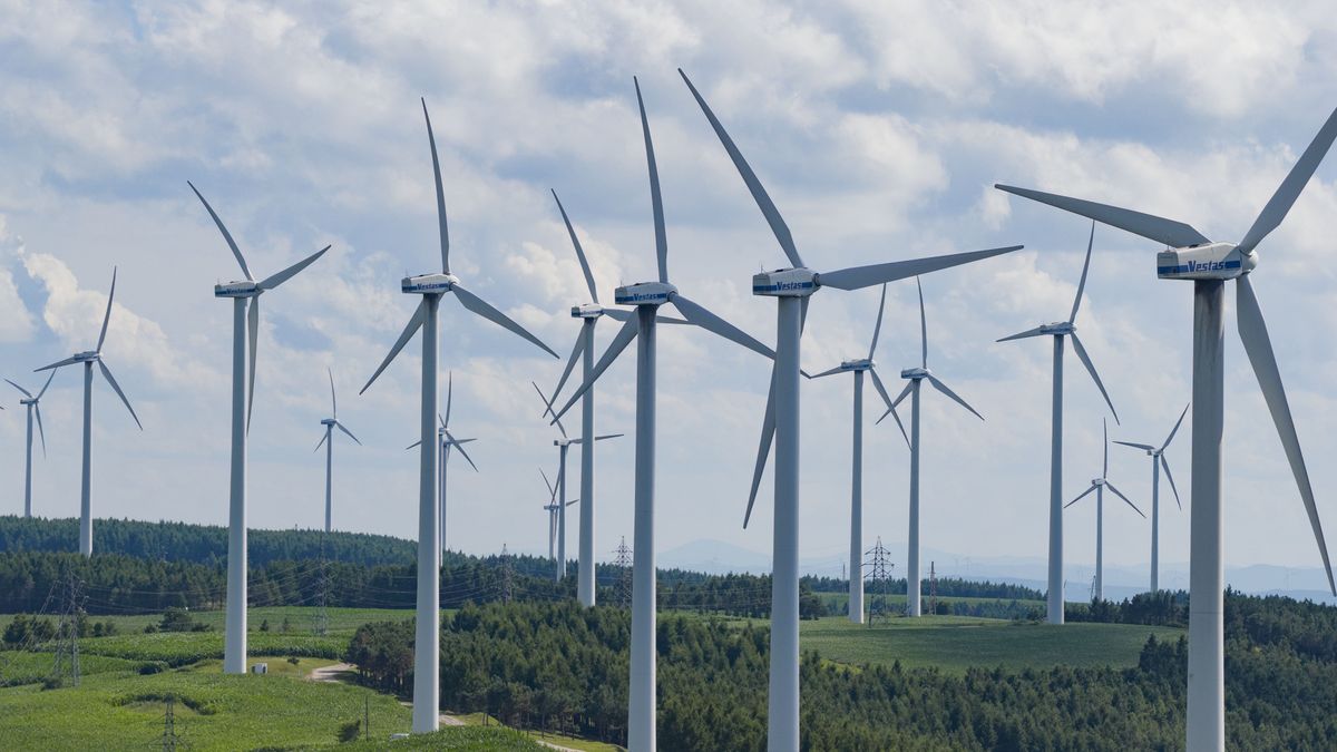 JIAMUSI, CHINA - JULY 21: Wind turbines spin at a wind farm on July 21, 2025 in Jiamusi, Heilongjiang Province of China. (Photo by Han Jiajun/VCG via Getty Images)