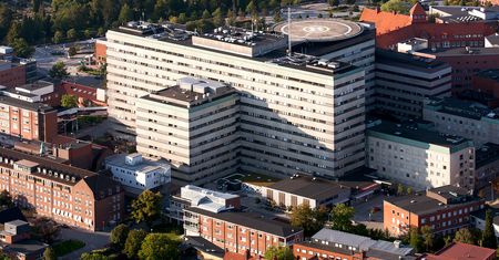 Plaga owadów w szwedzkim szpitalu. "Są wyjątkowym zagrożeniem"