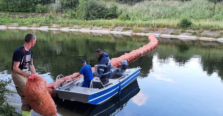 Dramatyczne doniesienia ze Śląska. Wyłowiono już 10 ton śniętych ryb