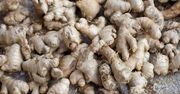 Sok z imbiru pomoże ci schudnąć! Spali tłuszcz i zbędne kilogramy