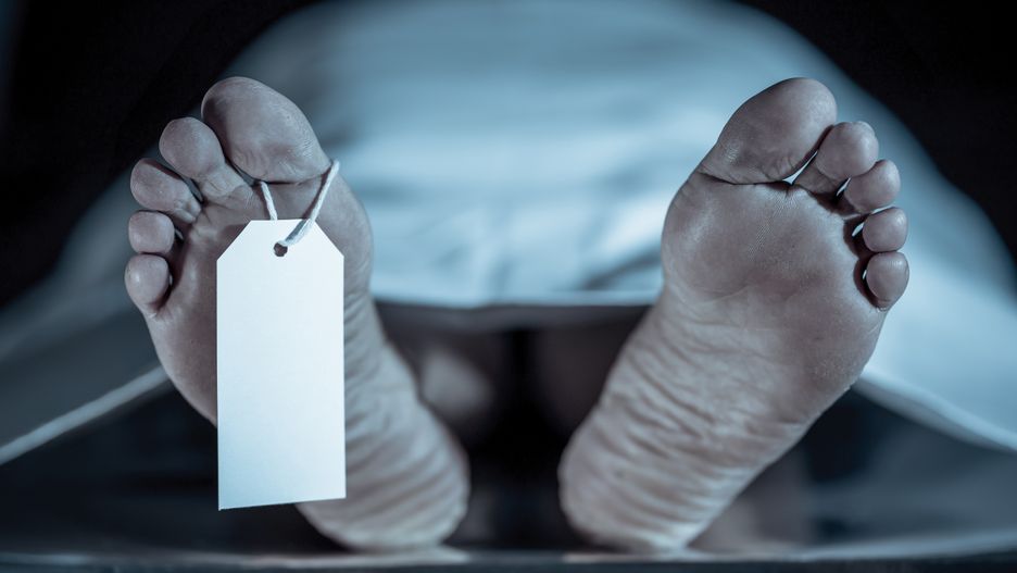 Close-up of dead body feet at morgue or hospital with toe label or information ring and identification blank tag. Cadaver lying on steal table covered with sheet on autopsy table. Death concept.
dead, body, morgue, death, hospital, human, foot, label, toe, close-up, part, indoors, identity, name, tag, cadaver, die, man, woman, autopsy, corpse, person, end, necropsy, life, medicine, crime, mortuary, accident, sheet, forensic, identification, table, suicide, morbid, disease, horror, depression, medical, victim, loss, deceased, illness, concept, murder, postmortem, examination, health, lifeless, dead, body, morgue, death, hospital, human, foot, label, toe, close-up, part, indoors, identity, name, tag, cadaver, die, man, woman, autopsy, corpse, person, end, necropsy, life, medicine, crime, mortuary, accident, sheet, forensic, identification, table, suicide, morbid, disease, horror, depression, medical, victim, loss, deceased, illness, concept, murder, postmortem, examination, health, lifeless