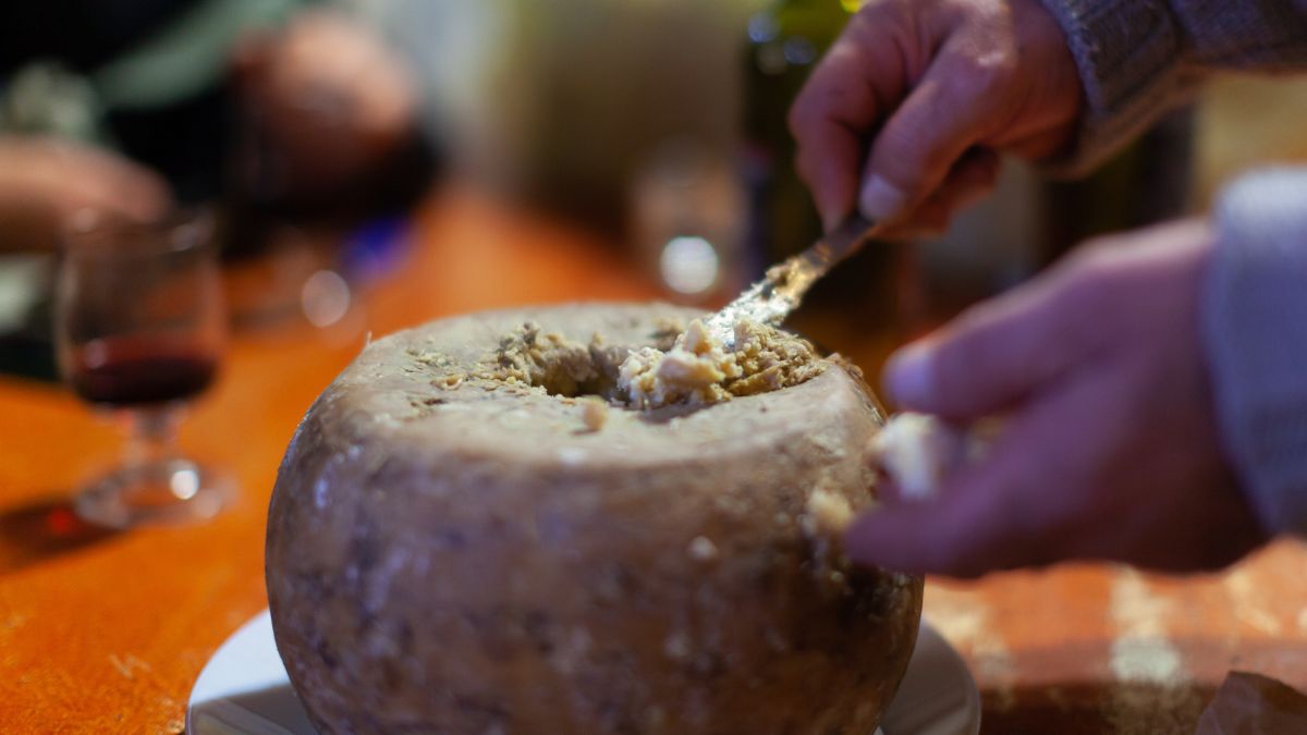 Case marzu — najniebezpieczniejszy ser świata