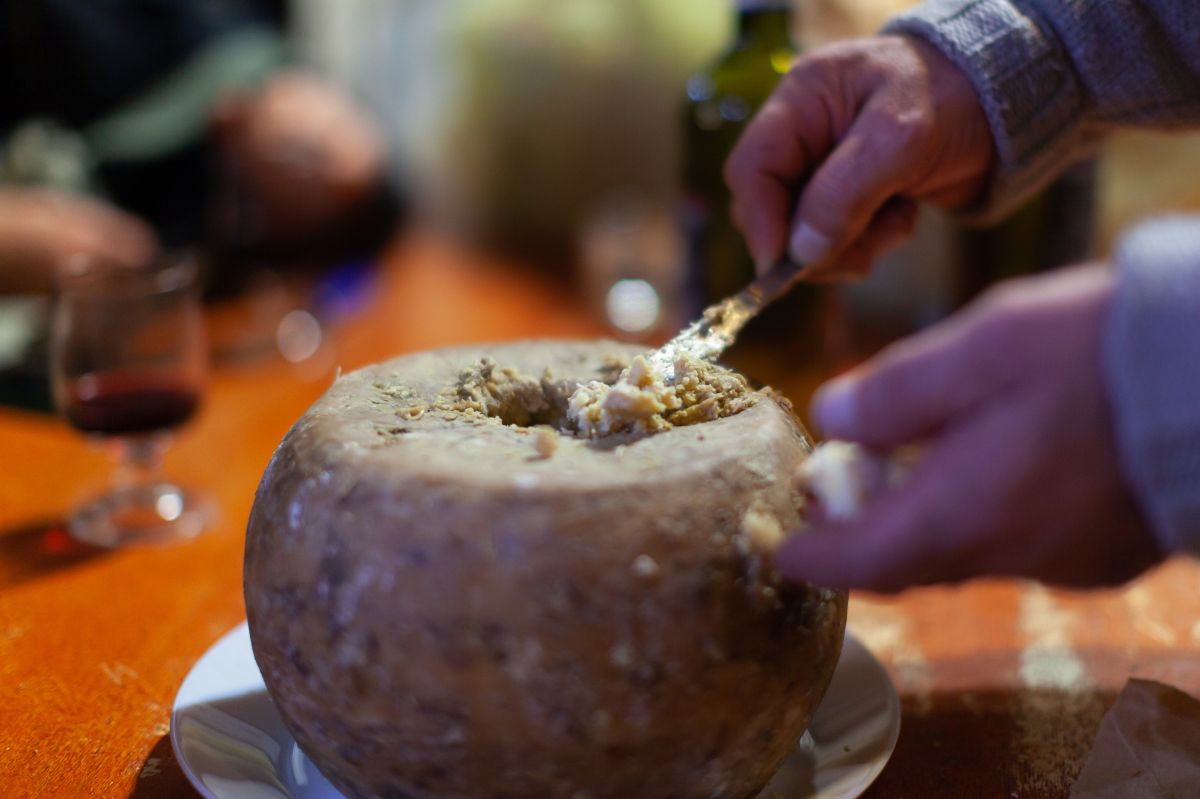 Peculiar delicacy: The banned Sardinian cheese with jumping larvae
