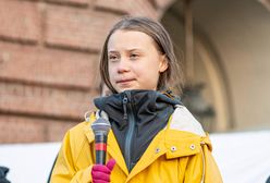 Greta Thunberg zamieszcza wezwanie. Na celowniku duży koncern z Niemiec