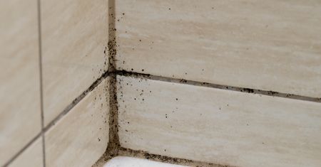 Obficie spryskaj fugę. "Wyżre" pleśń bez szorowania