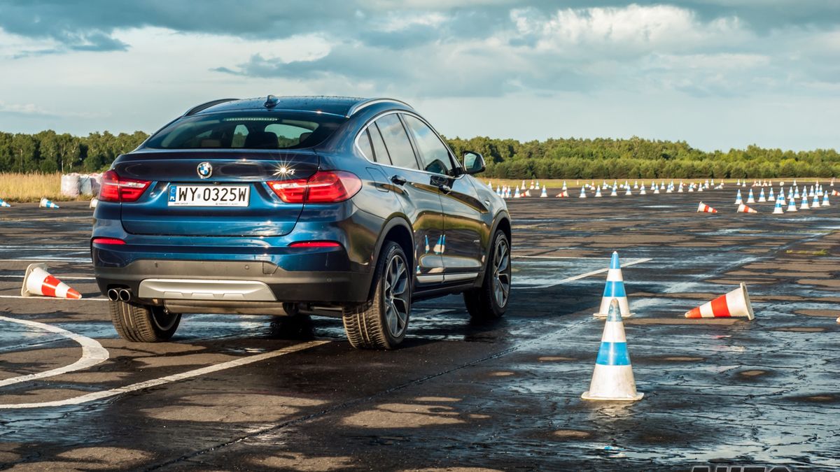 Zdjęcie ilustracyjne do artykułu