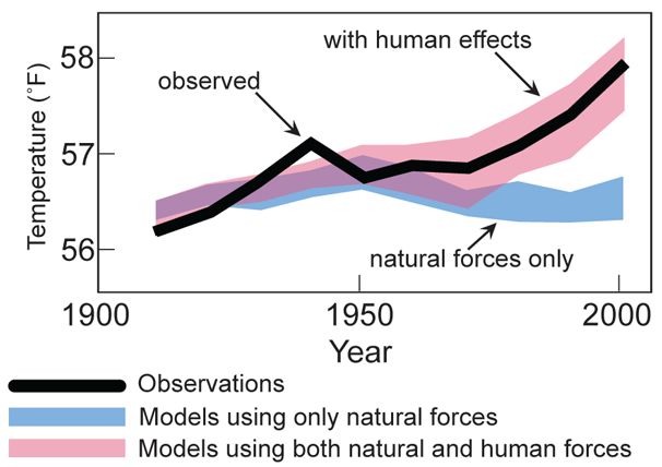 Czynniki wpływające na temperaturę Ziemi od 1900 r. Niebieską linią pokazano modele uwzględniające czynniki naturalne, różową modele uwzględniające czynniki naturalne połączone z czynnikiem ludzkim, a czarną - faktyczne, zmierzone zmiany temperatury