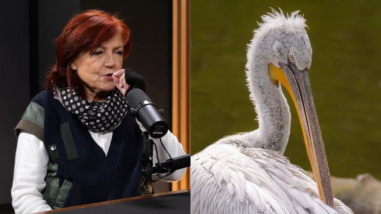 Urszula Dudziak wspomina przygody z używkami