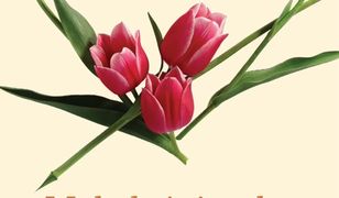 Kraj z kosmosu - Emiraty