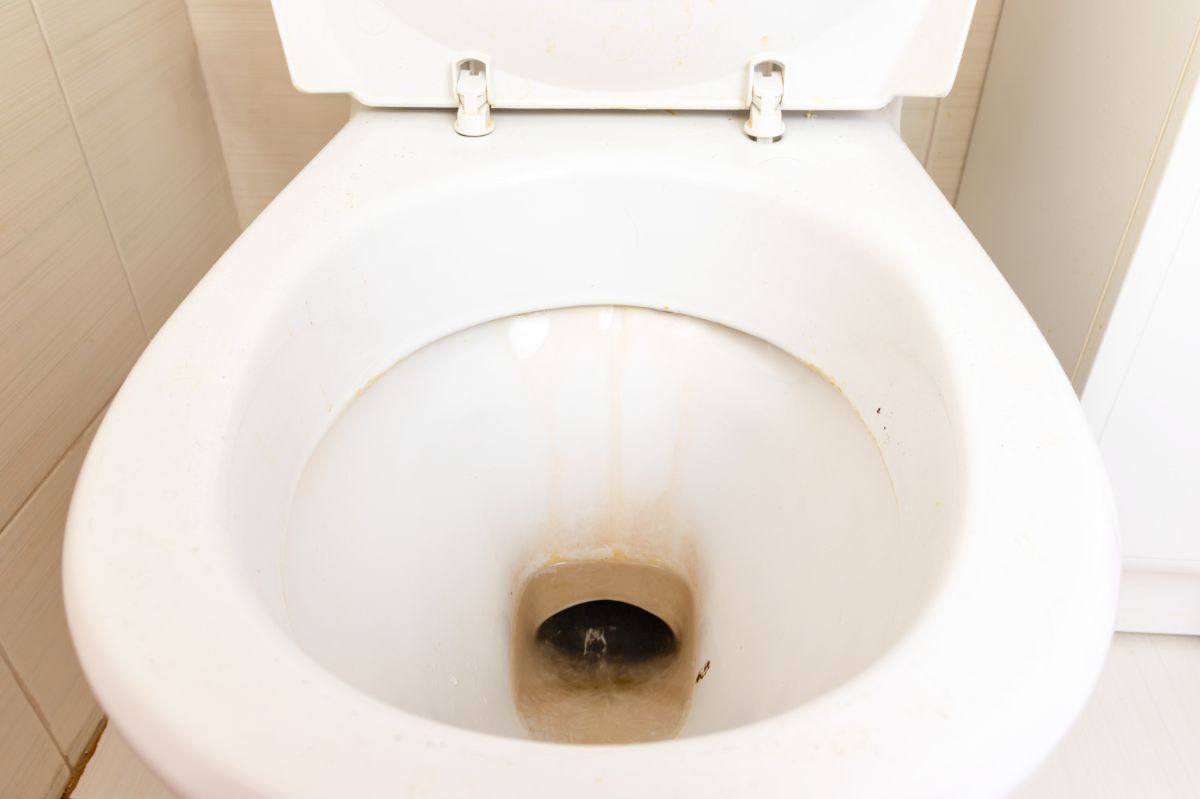 Jak pozbyć się kamienia z muszli toaletowej?