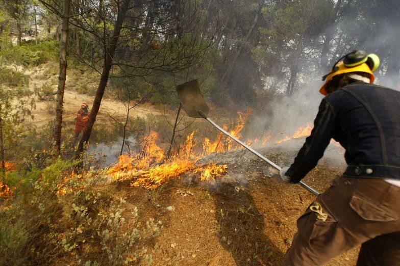 Pożary w Hiszpanii. Ponad tysiąc hektarów lasów zniszczone