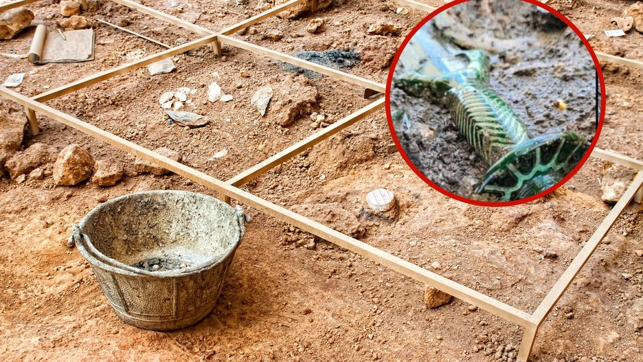 Znalezienie takich artefaktów nie zdarza się często