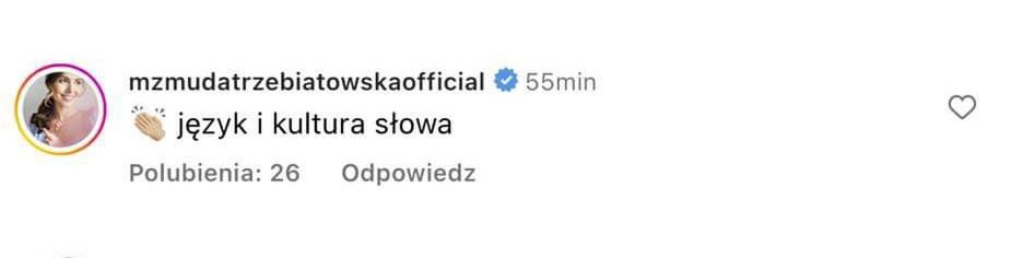 komentarze pod nagraniem z przemówienia Szymona Hołowni