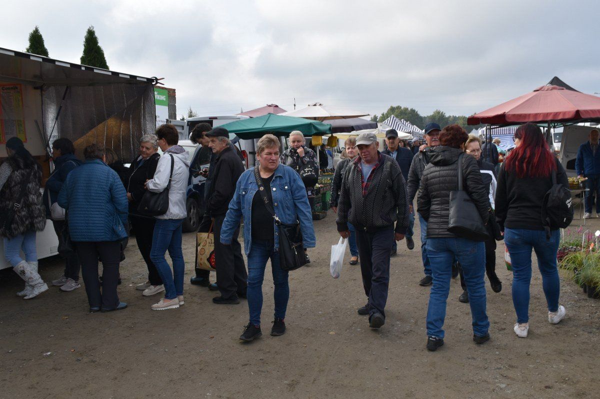 Koźminek: Na targowisku czuć już jesień. Zobaczcie co można kupić