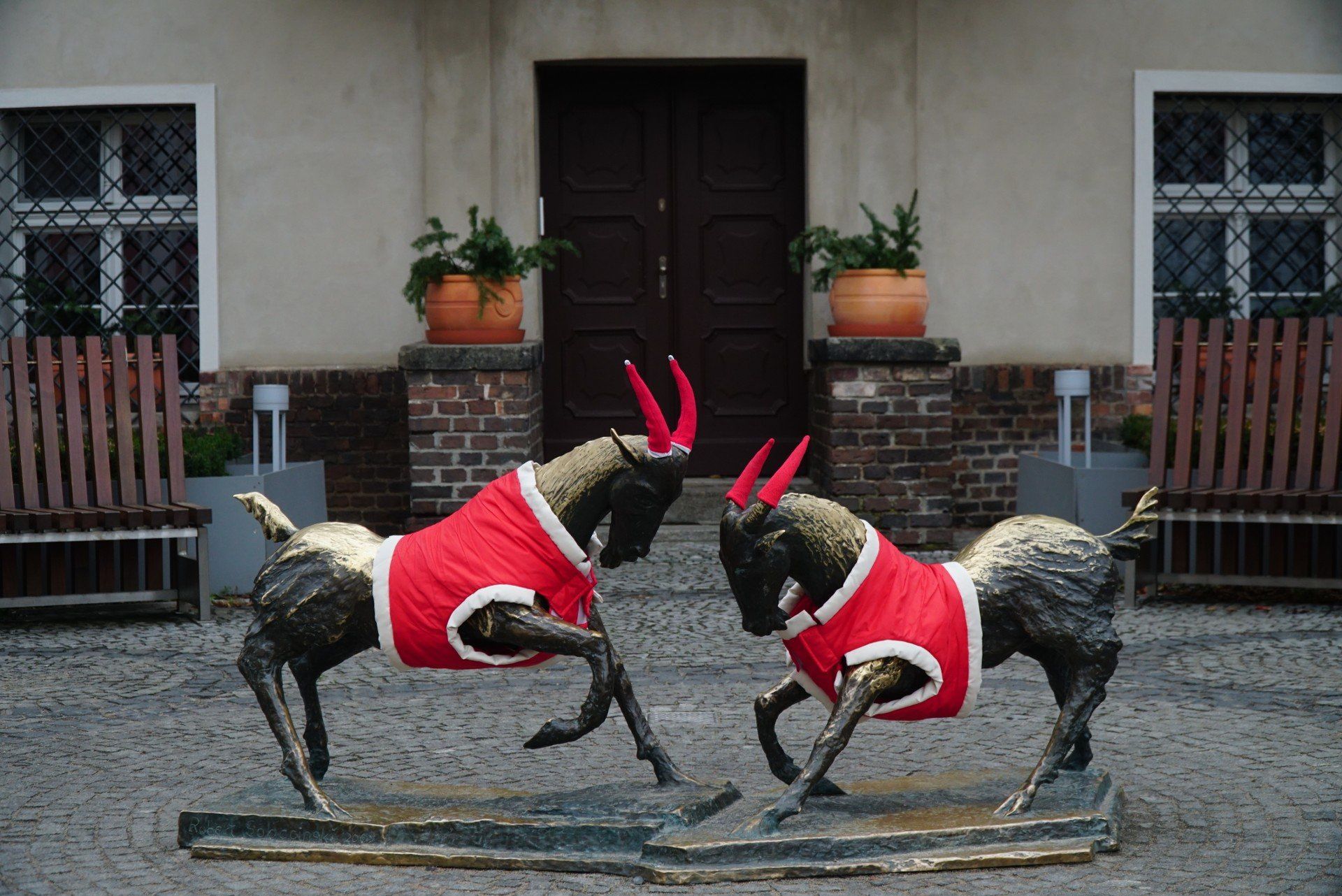 Rzeźba poznańskich koziołków została ubrana