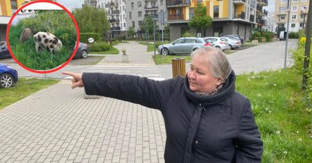 Warszawa ma duży problem. Ludzie aż boją się wychodzić z domów