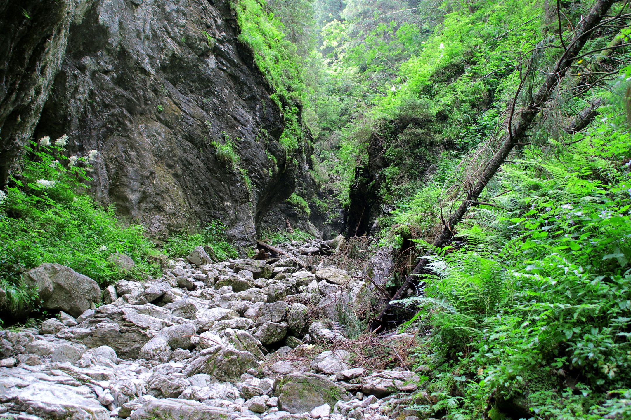 Wąwóz Kraków 