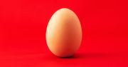 Jedno jajko dziennie może być świetne dla zdrowia. Tak sugerują naukowcy
