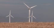 Raport: farmy wiatrowe nie wpływają na ceny gruntów