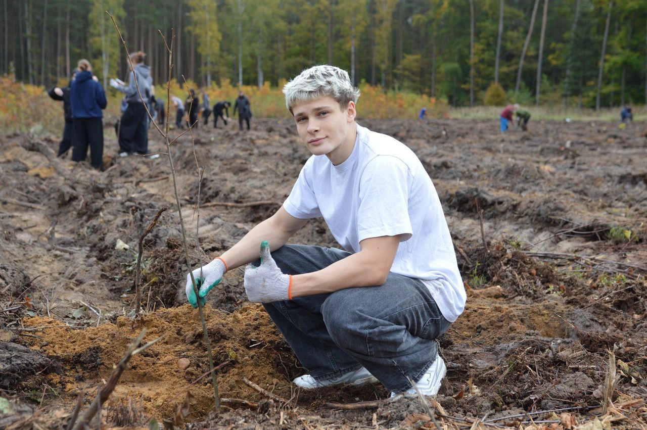 Bełchatów: Posadzili dwa tysiące drzewek miododajnych w Nadleśnictwie Bełchatów - w Szkółce Leśnej Borowiny