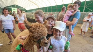 To największa wystawa rolnicza w regionie! Trwają Dni Otwartych Drzwi oraz XVII Wystawa Zwierząt Hodowlanych w PODR w Boguchwale