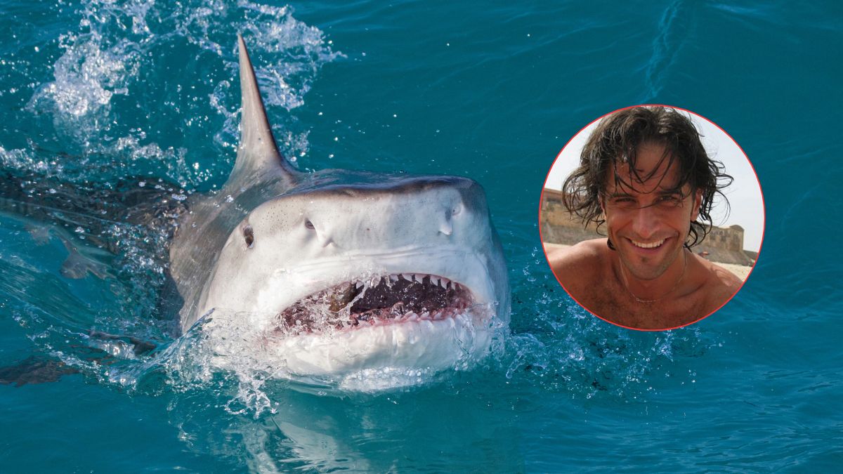 Atak żarłacza tygrysiego w kurorcie. Nie żyje włoski dyplomata