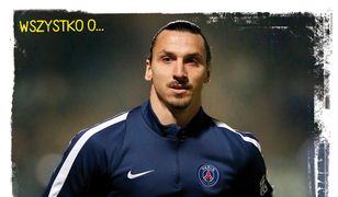 Wszystko o…Zlatanie Ibrahimoviciu