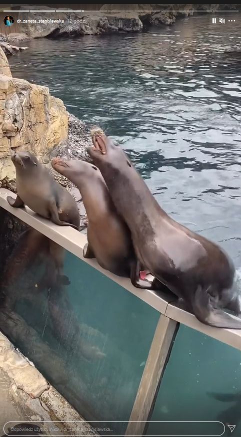 Żaneta Gortat z mężem Marcinem i córką karmią płaszczki w parku wodnym na Florydzie