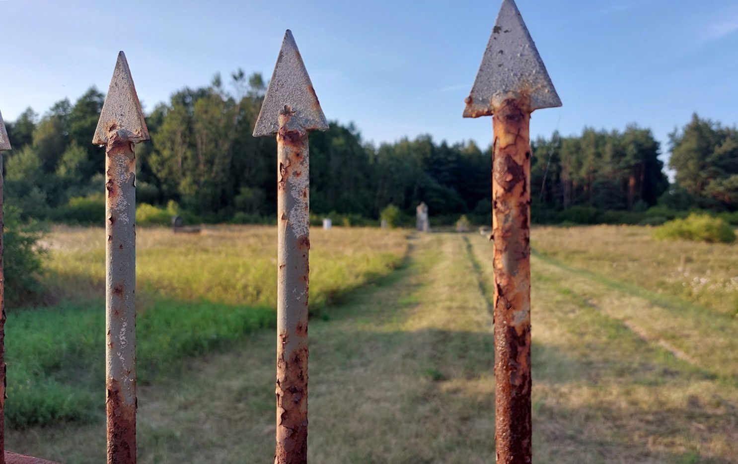 kirkut przy ulicy Ogrodowej