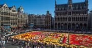 Belgia: Kwiatowy dywan na Grand Place w afrykańskie wzory