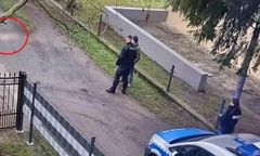 Szokujące zdarzenie w Sulechowie. Mężczyzna był z psem na spacerze. Wtedy ktoś zastrzelił zwierzę