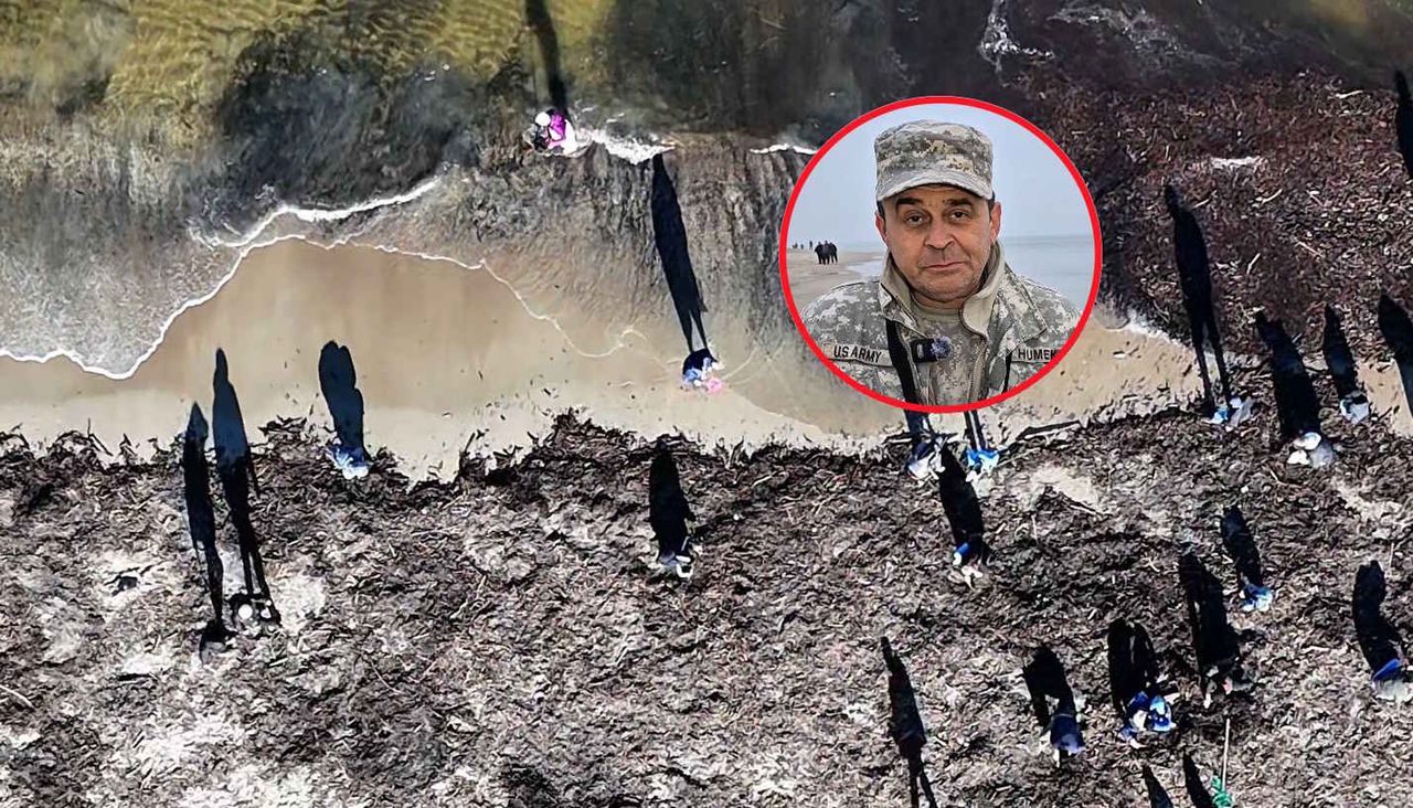 Wylegli na plaże. Przegrzebują zwały glonów na brzegu morza