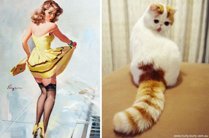 Koty, które pozują jak dziewczyny pin-up z dawnych amerykańskich plakatów 19