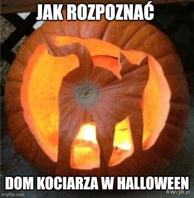 Halloween 2024, memy (Kwejk)