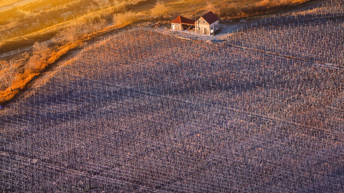 Gruzja z perspektywy lotu ptaka w obiektywie Dito Tediashviliego 1
