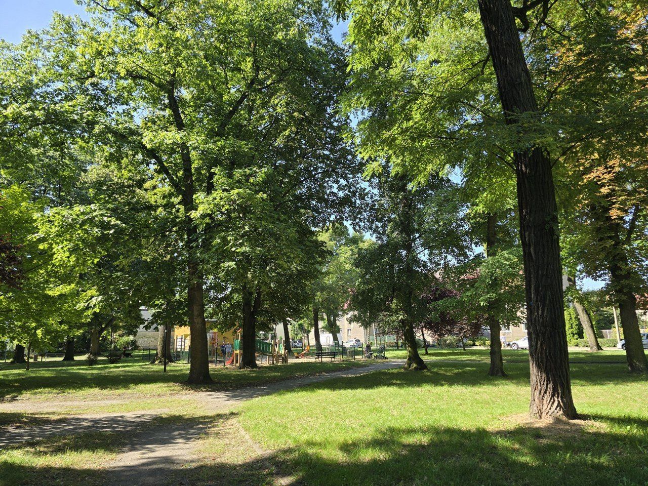 Tak dziś wygląda Park im. Leszczyńskich Satyryków. Wkrótce powstanie tu tężnia solankowa