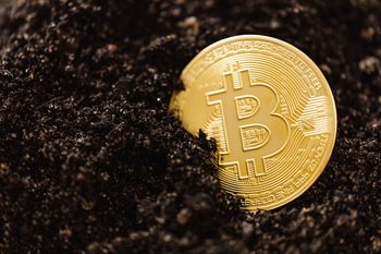 Czarna strona kryptowalut. Służby biją na alarm