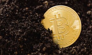 Tak wykorzystują kryptowaluty. Służby ostrzegają