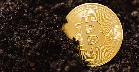 Czarna strona kryptowalut. Służby biją na alarm