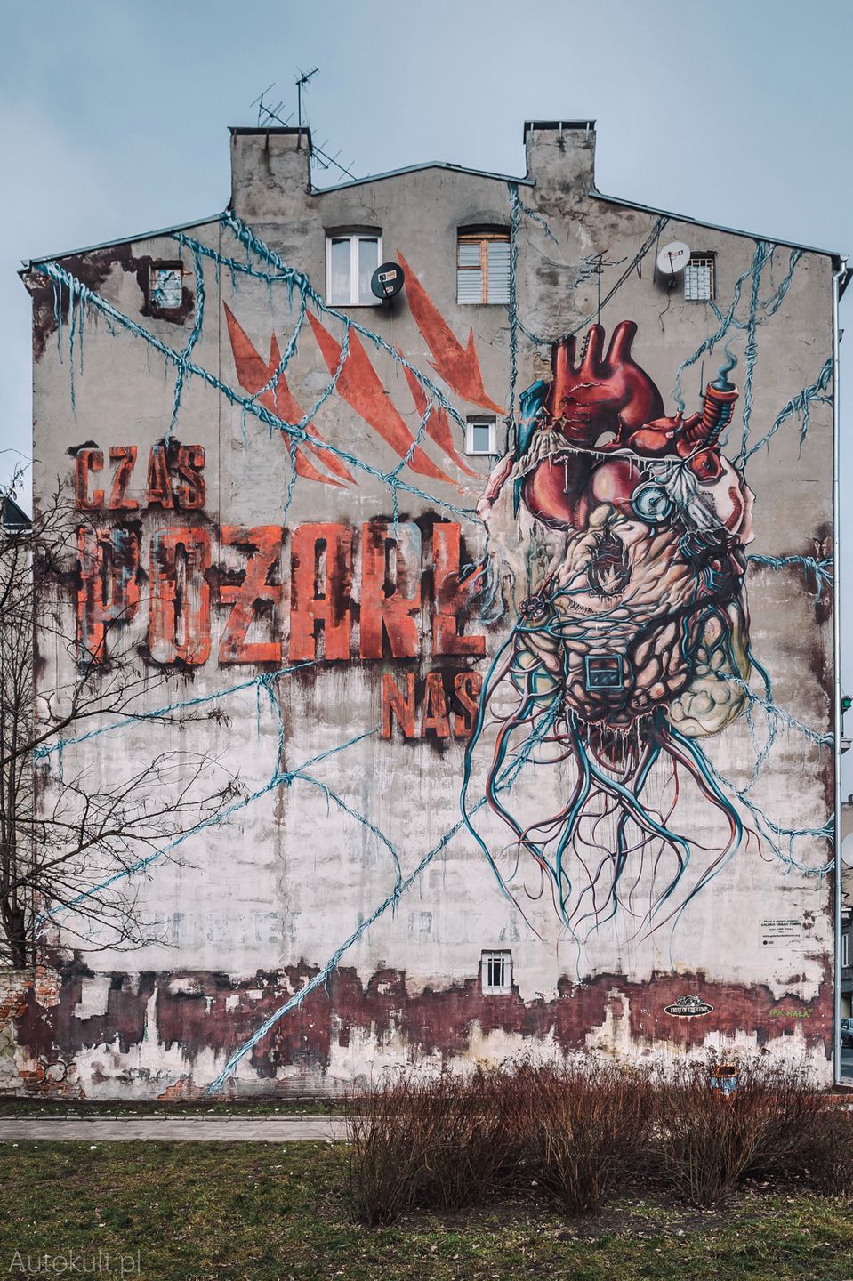Zdjęcie ilustracyjne do artykułu