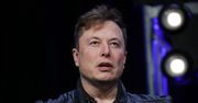 Musk mówi o upadku cywilizacji. Wskazuje na jeden czynnik
