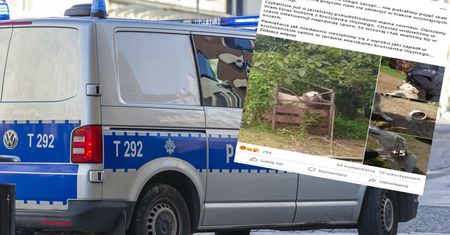Bestialska recydywa. Przywiązała psa do samochodu i ruszyła