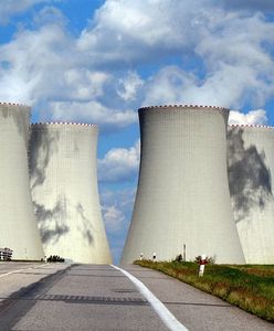 Elektrownia jądrowa w Polsce. Gdzie i kiedy powstanie? Podjęto kluczową decyzję