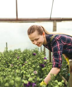 Przedsiębiorco – promuj się, budując Markę Polskiej Gospodarki